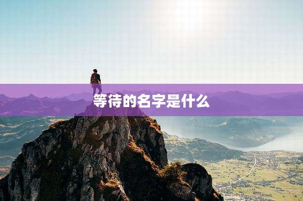 等待的名字是什么