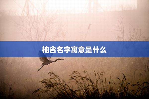 柚含名字寓意是什么