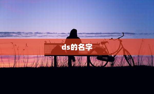 ds的名字