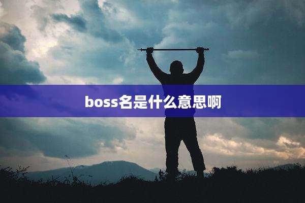 boss名是什么意思啊