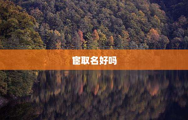 宦取名好吗