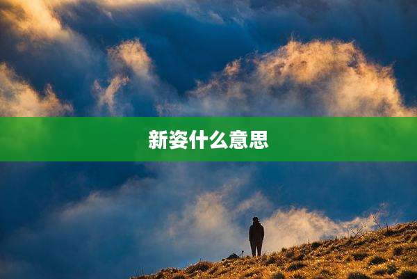 新姿什么意思