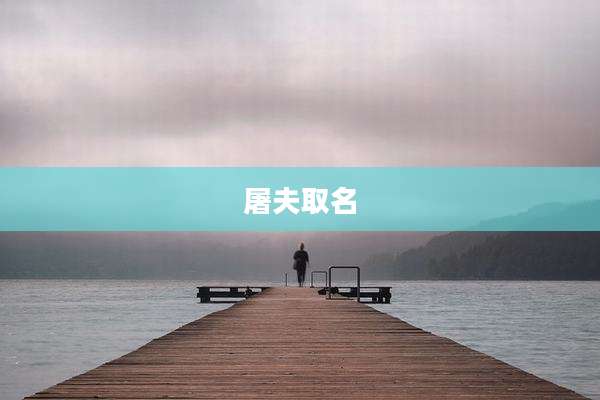 屠夫取名