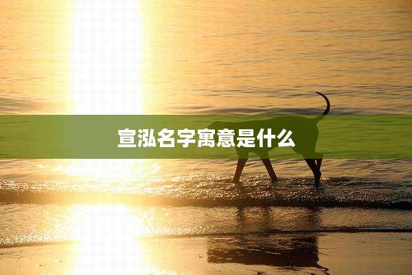 宣泓名字寓意是什么