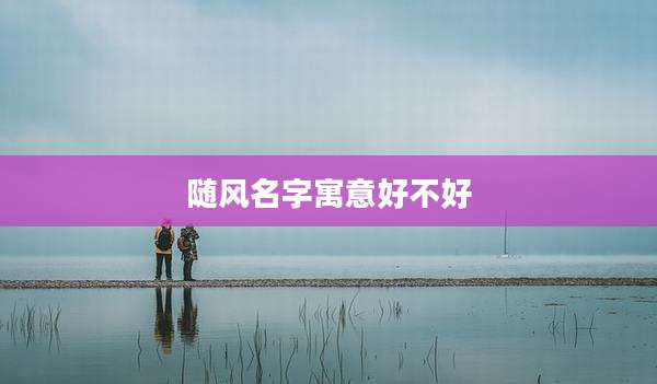 随风名字寓意好不好