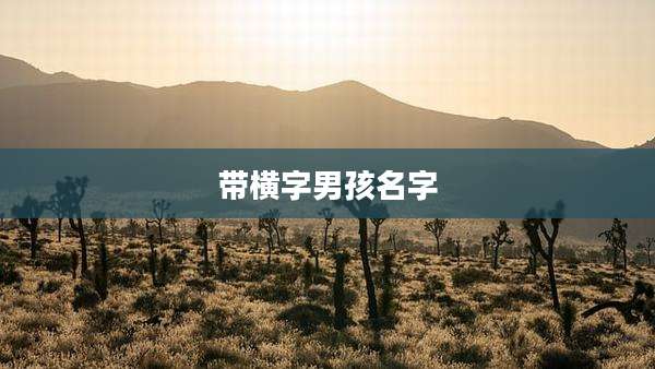 带横字男孩名字