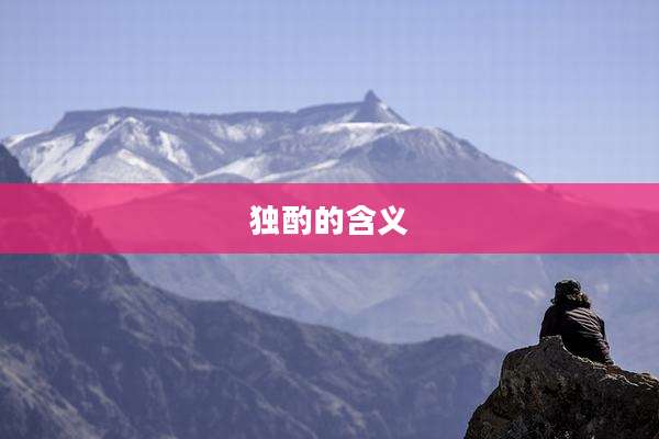独酌的含义