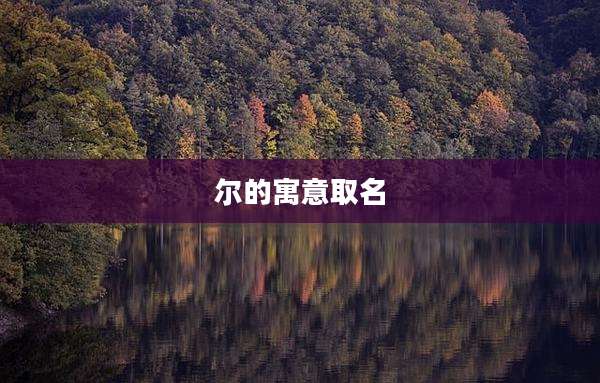 尔的寓意取名