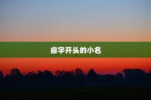 睿字开头的小名