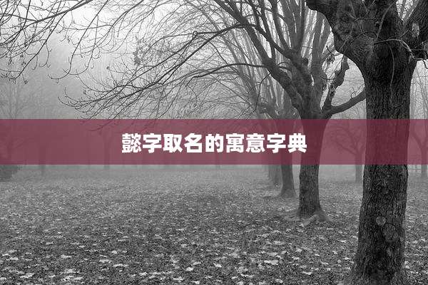 懿字取名的寓意字典