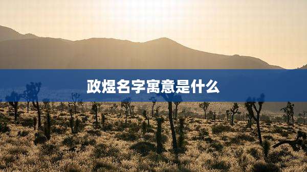 政煜名字寓意是什么