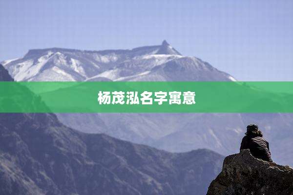 杨茂泓名字寓意
