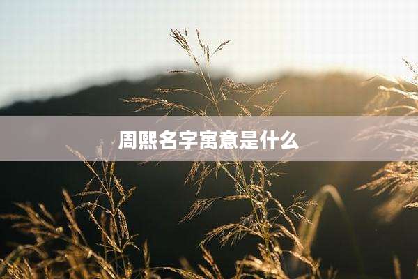 周熙名字寓意是什么