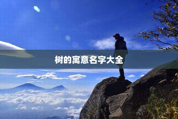 树的寓意名字大全