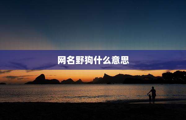 网名野狗什么意思