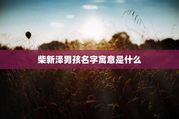 柴新泽男孩名字寓意是什么