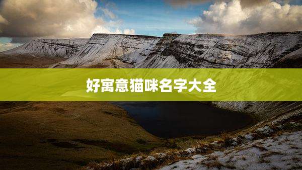好寓意猫咪名字大全
