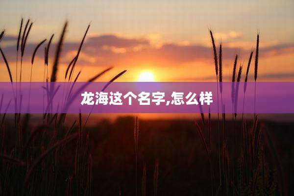 龙海这个名字,怎么样