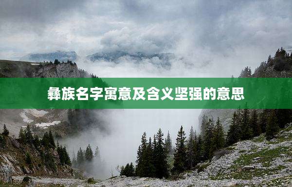 彝族名字寓意及含义坚强的意思