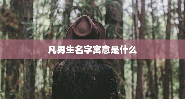 凡男生名字寓意是什么