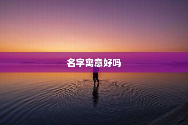 名字寓意好吗