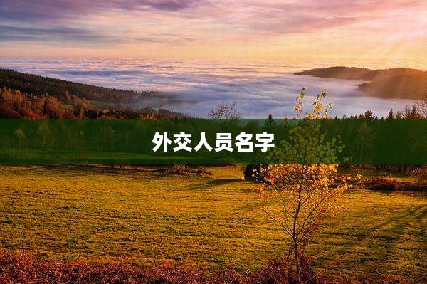 外交人员名字
