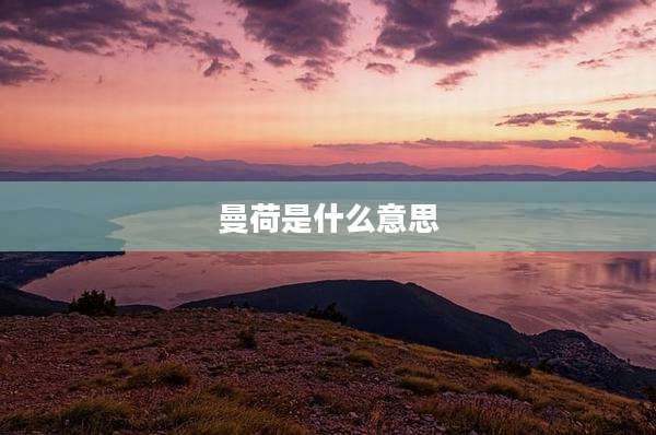 曼荷是什么意思