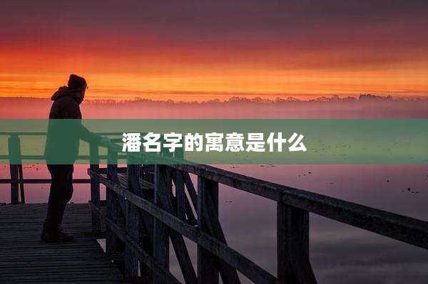 潘名字的寓意是什么