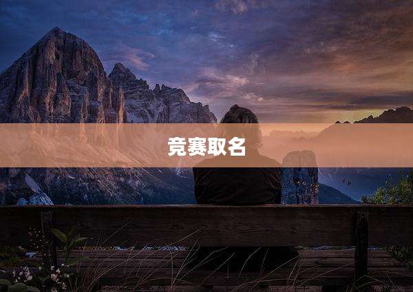竞赛取名