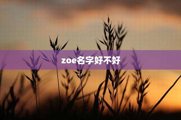 zoe名字好不好