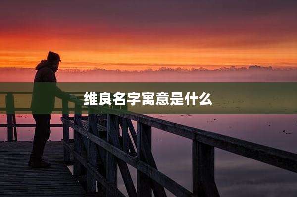 维良名字寓意是什么