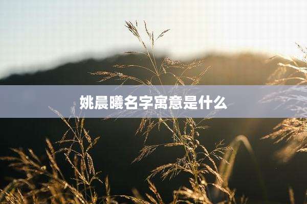 姚晨曦名字寓意是什么