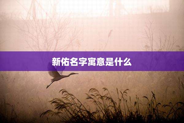 新佑名字寓意是什么