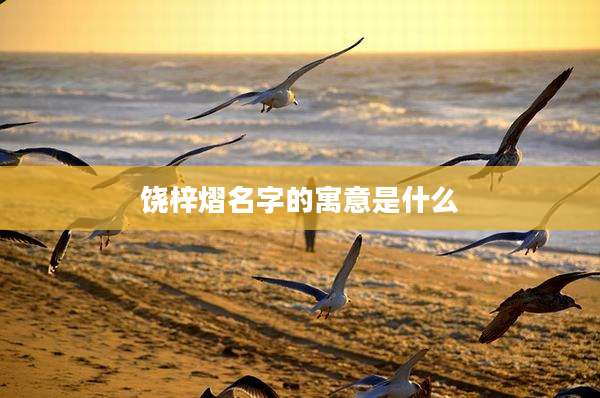 饶梓熠名字的寓意是什么