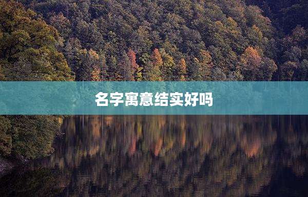 名字寓意结实好吗