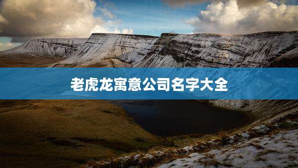 老虎龙寓意公司名字大全