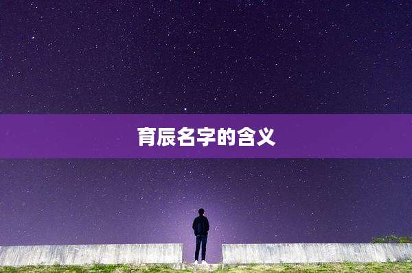 育辰名字的含义