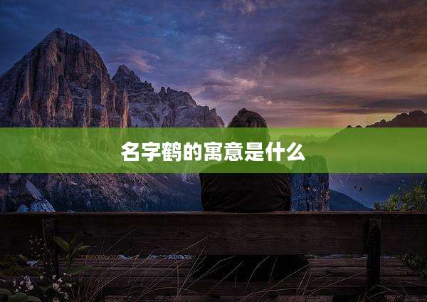 名字鹤的寓意是什么