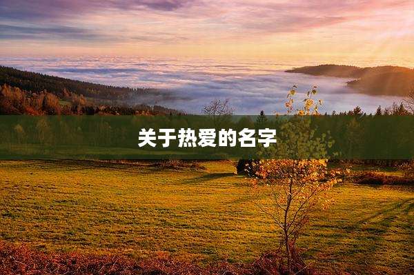 关于热爱的名字