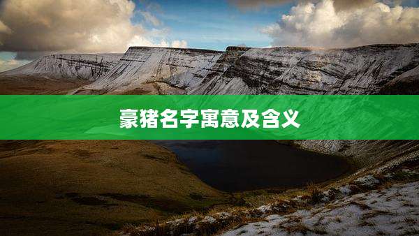 豪猪名字寓意及含义