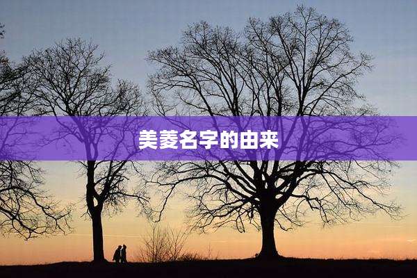 美菱名字的由来