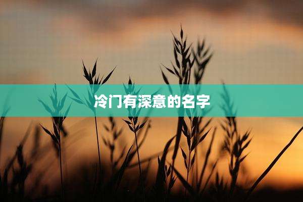 冷门有深意的名字