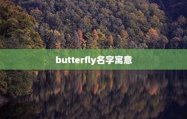 butterfly名字寓意