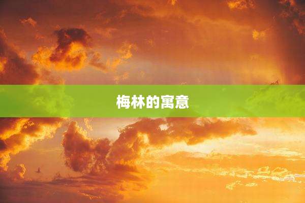 梅林的寓意