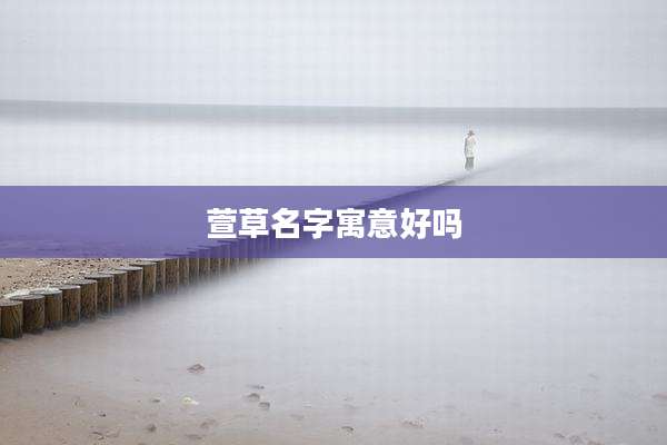 萱草名字寓意好吗