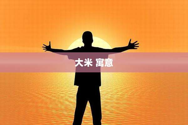 大米 寓意
