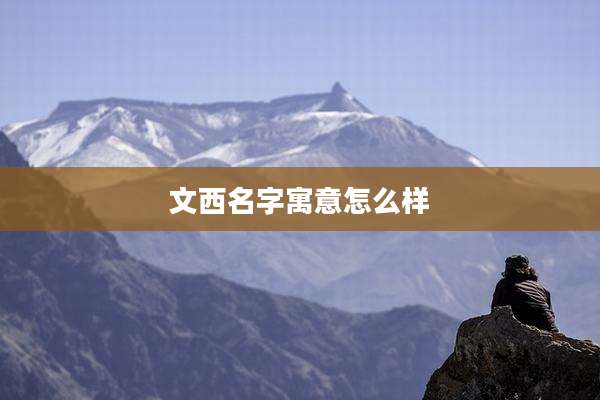 文西名字寓意怎么样