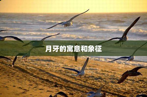 月牙的寓意和象征
