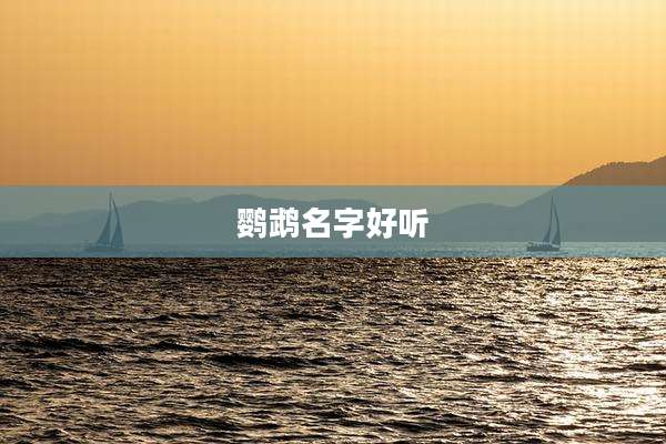 鹦鹉名字好听