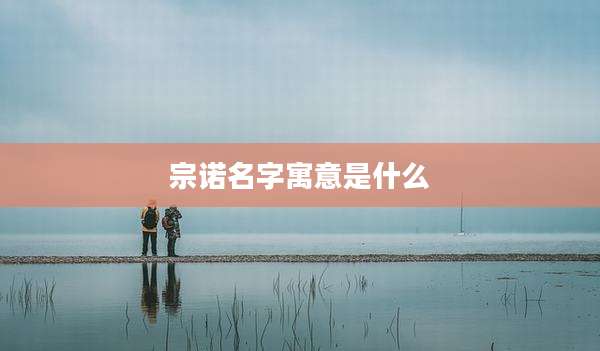 宗诺名字寓意是什么